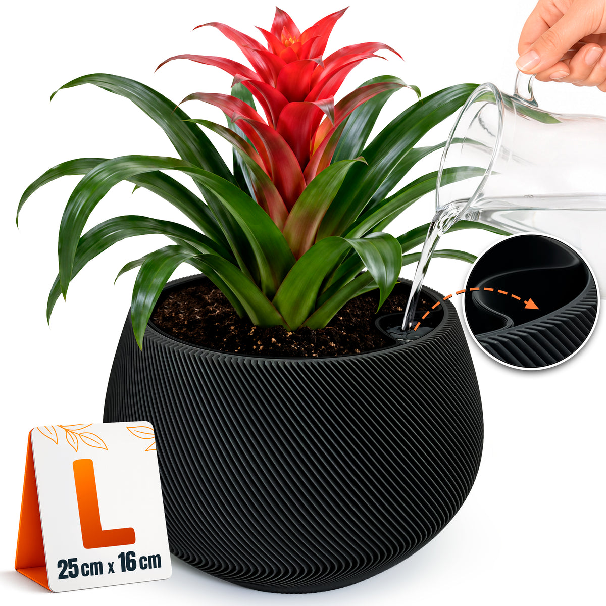 Self-Watering Planter AQUA ZEN for Indoor Plants