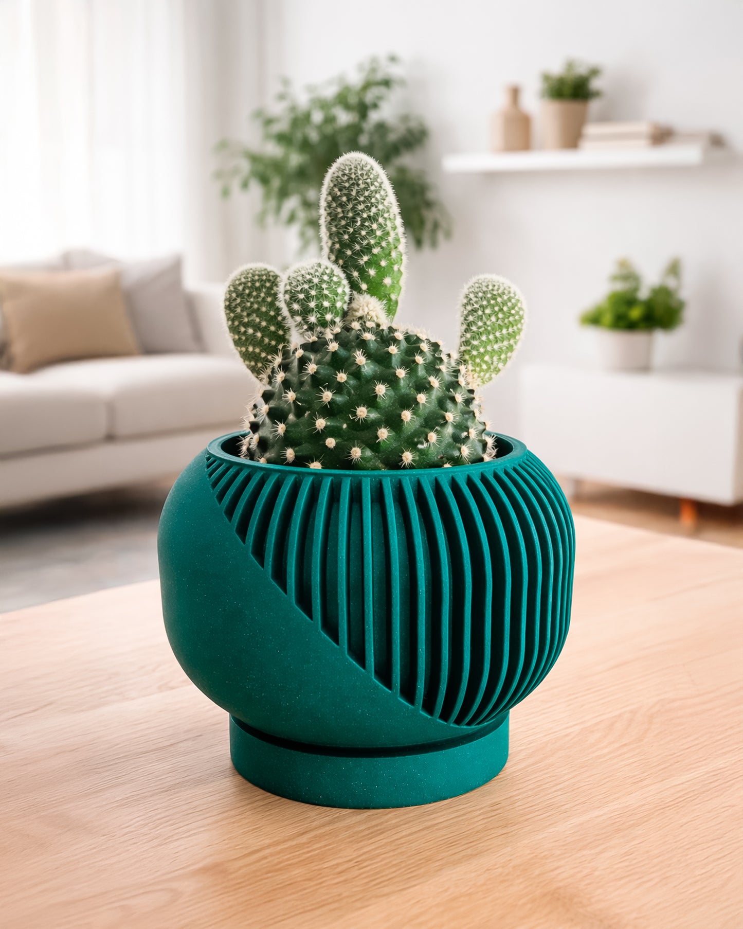 Linea Set – Modern Minimalist Vase & Planter