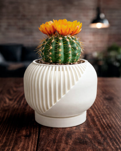 Linea Set – Modern Minimalist Vase & Planter