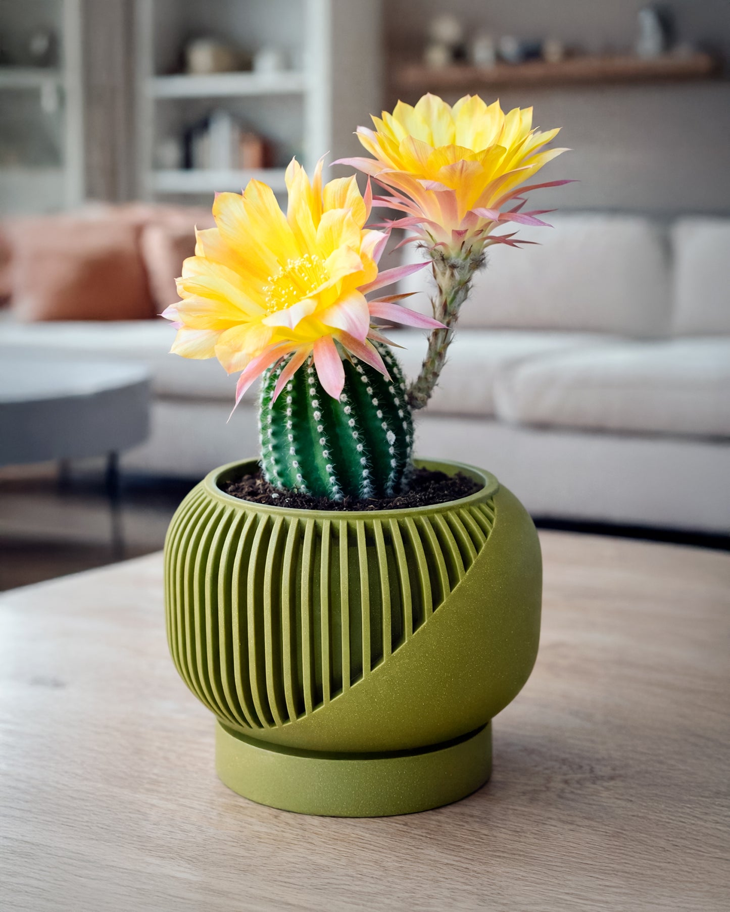 Linea Set – Modern Minimalist Vase & Planter
