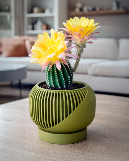 Linea Set – Modern Minimalist Vase & Planter