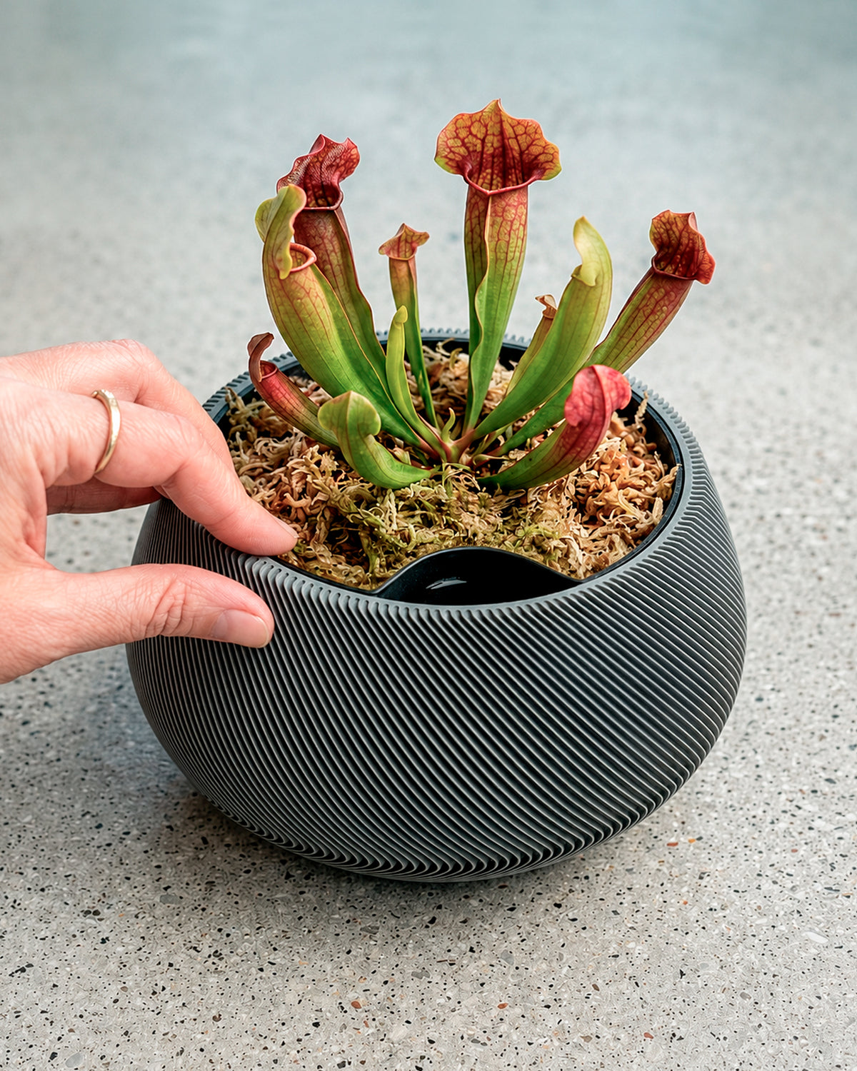 Self-Watering Planter AQUA ZEN for Indoor Plants