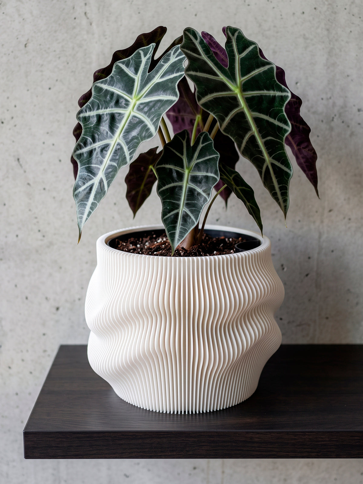 Selbstbewässernder Blumentopf AQUA FLOW für Zimmerpflanzen