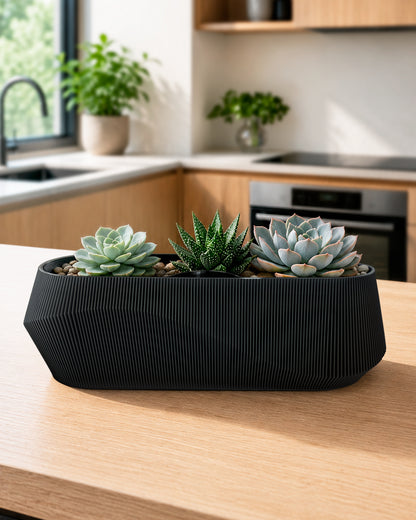 Self-Watering Planter AQUA WAVE for Succulents and Plant Arrangements