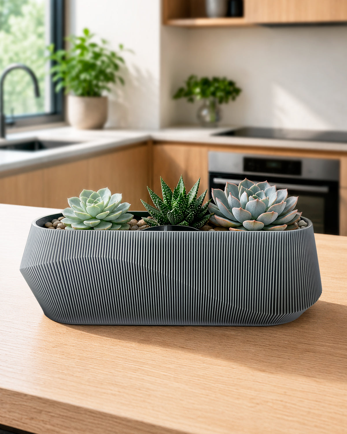 Self-Watering Planter AQUA WAVE for Succulents and Plant Arrangements