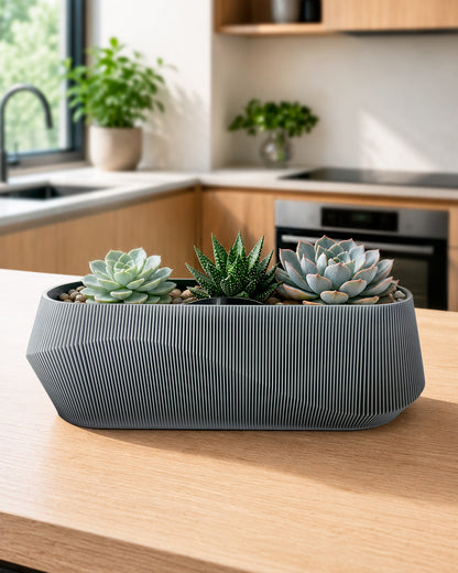 Self-Watering Planter AQUA WAVE for Succulents and Plant Arrangements