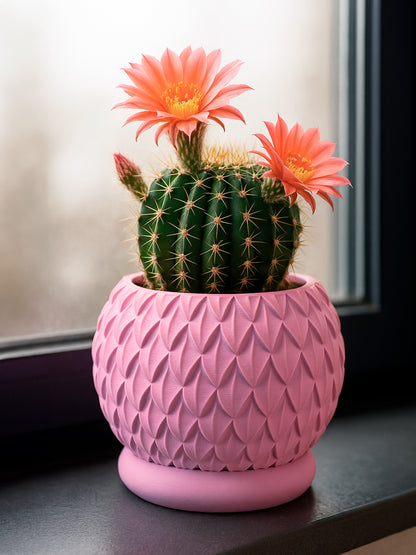 3D-printed pink PLA pot from Plexiwire holding a blooming cactus