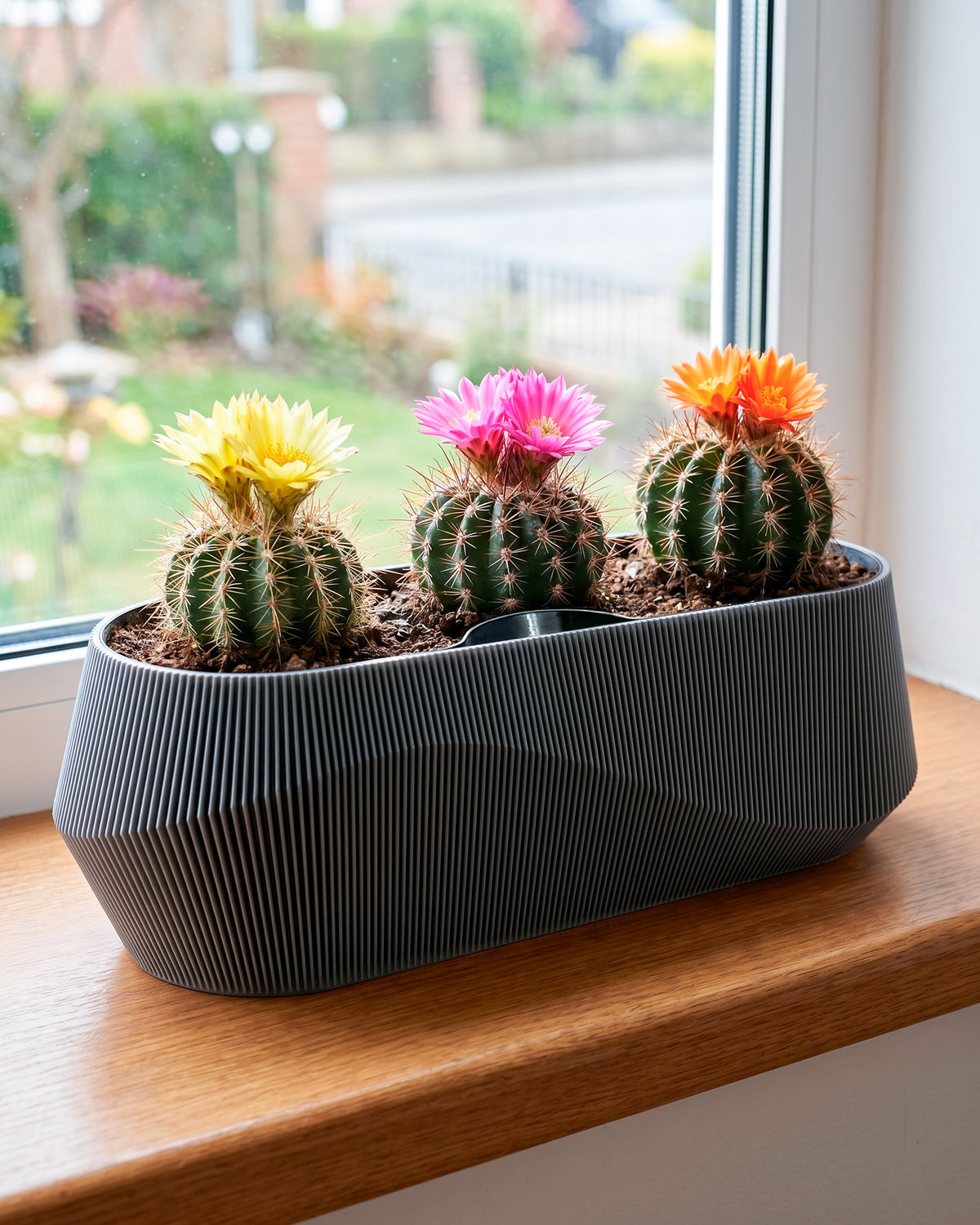Self-Watering Planter AQUA WAVE for Succulents and Plant Arrangements