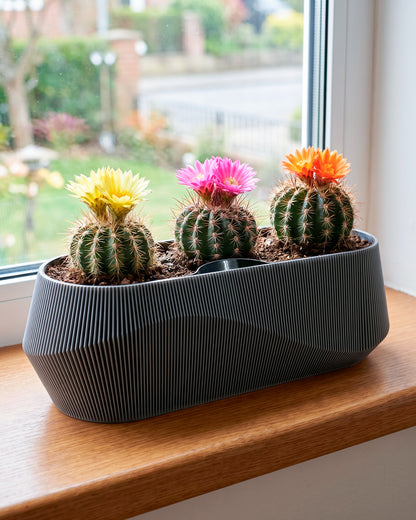 Self-Watering Planter AQUA WAVE for Succulents and Plant Arrangements