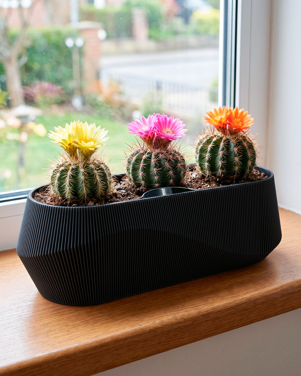 Self-Watering Planter AQUA WAVE for Succulents and Plant Arrangements