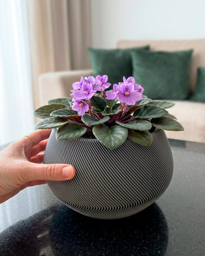 Self-Watering Planter AQUA ZEN for Indoor Plants