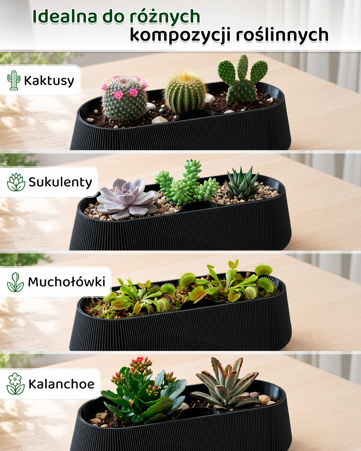 Self-Watering Planter AQUA WAVE for Succulents and Plant Arrangements
