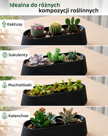 Self-Watering Planter AQUA WAVE for Succulents and Plant Arrangements