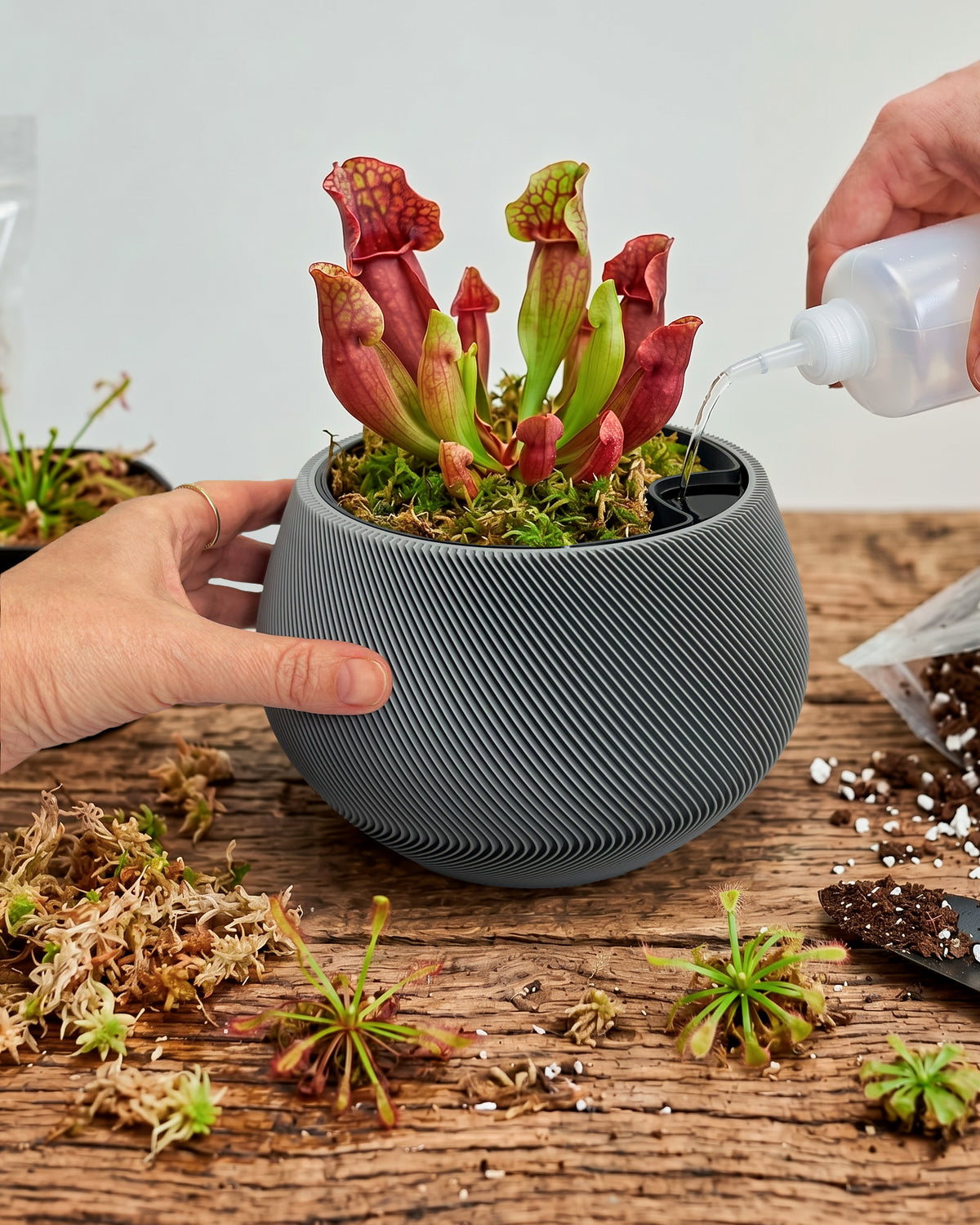 Self-Watering Planter AQUA ZEN for Indoor Plants