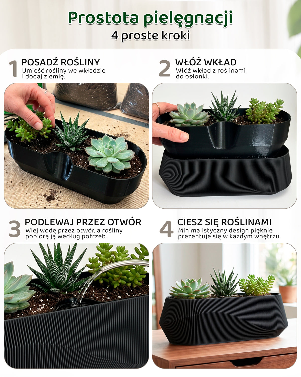 Self-Watering Planter AQUA WAVE for Succulents and Plant Arrangements