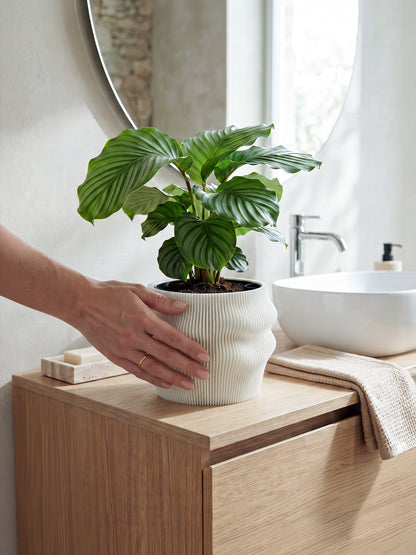 Selbstbewässernder Blumentopf AQUA FLOW für Zimmerpflanzen
