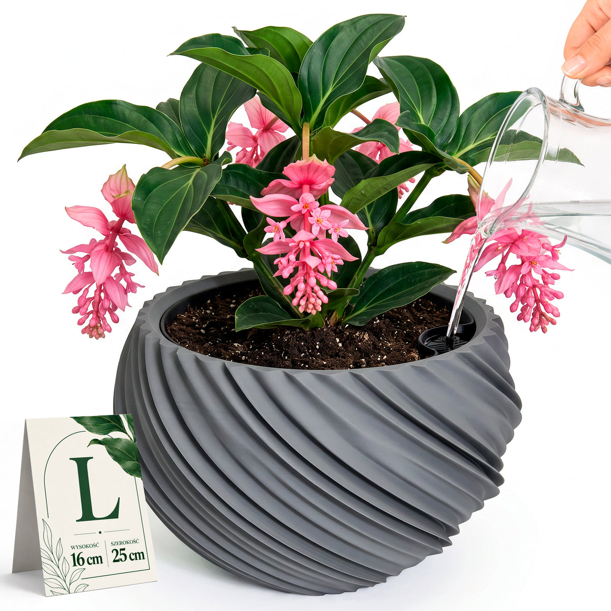 AQUA VENUS – Decorative Self-Watering Planter for Indoor Plants M / L