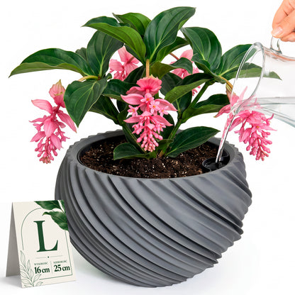 AQUA VENUS – Decorative Self-Watering Planter for Indoor Plants M / L