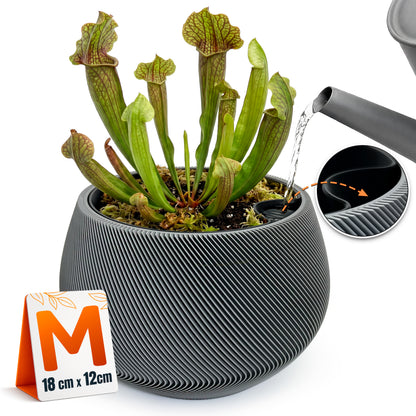 Self-Watering Planter AQUA ZEN for Indoor Plants