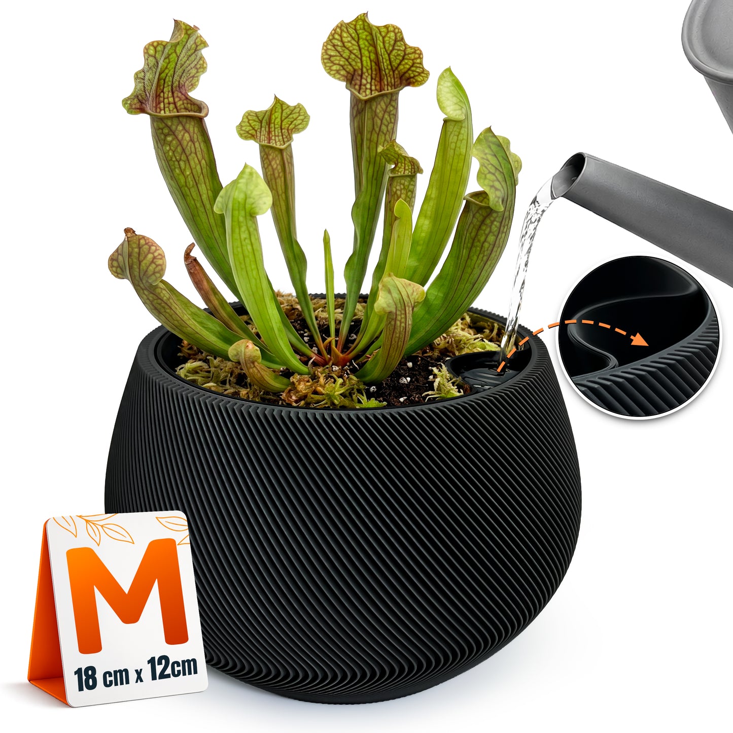 Self-Watering Planter AQUA ZEN for Indoor Plants