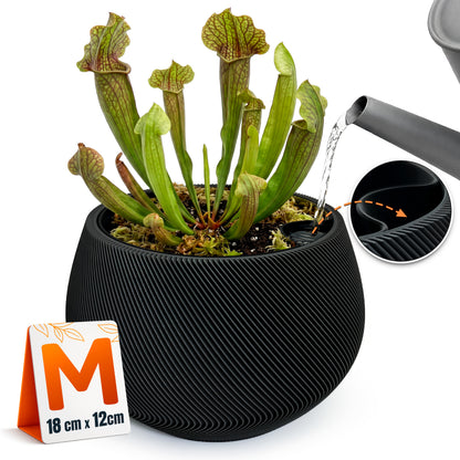 Self-Watering Planter AQUA ZEN for Indoor Plants