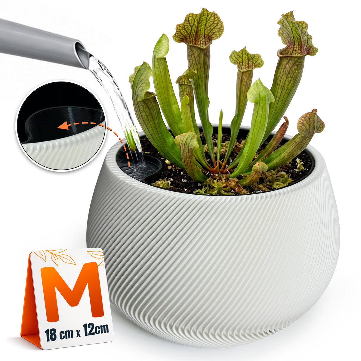 Self-Watering Planter AQUA ZEN for Indoor Plants