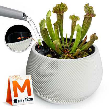 Self-Watering Planter AQUA ZEN for Indoor Plants