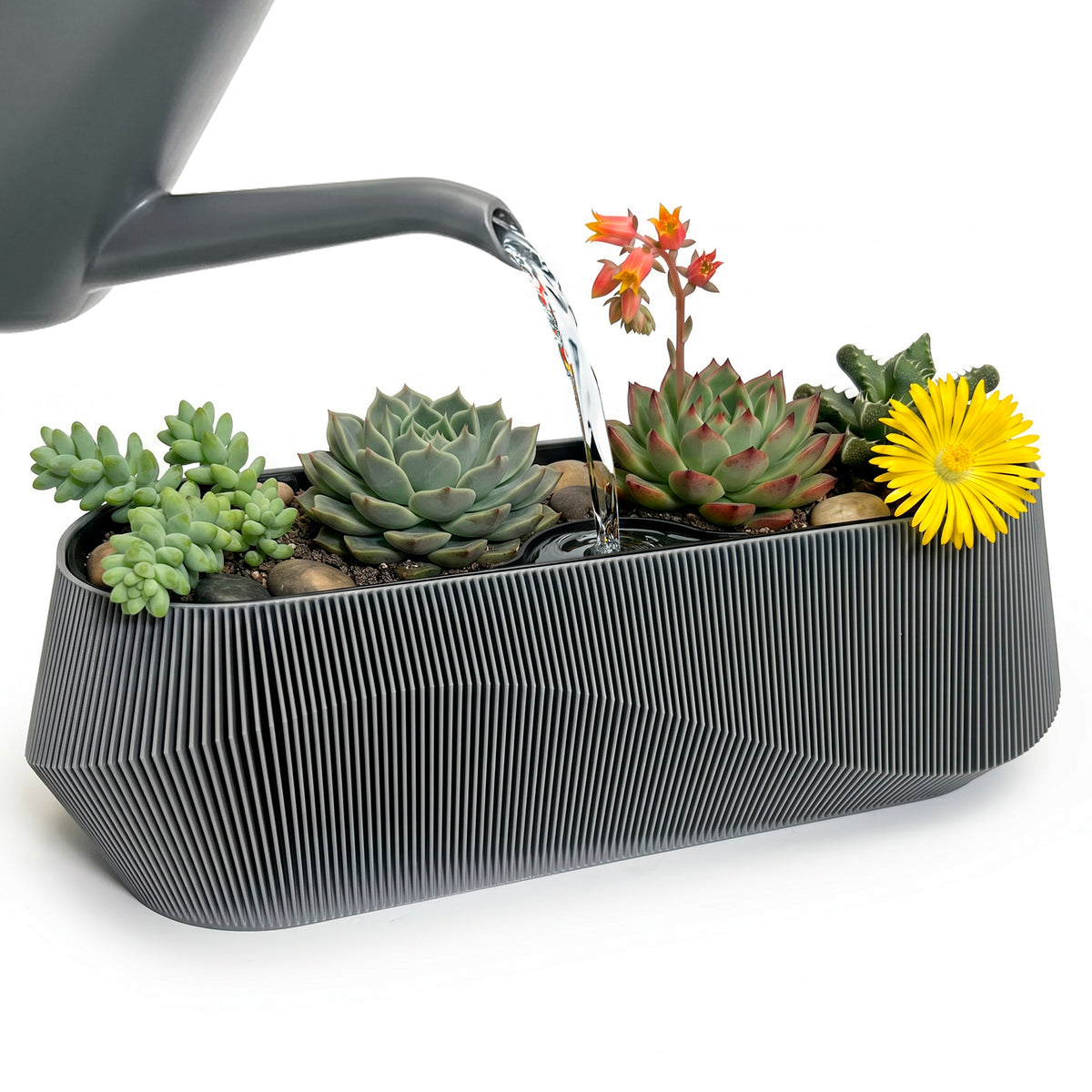Self-Watering Planter AQUA WAVE for Succulents and Plant Arrangements