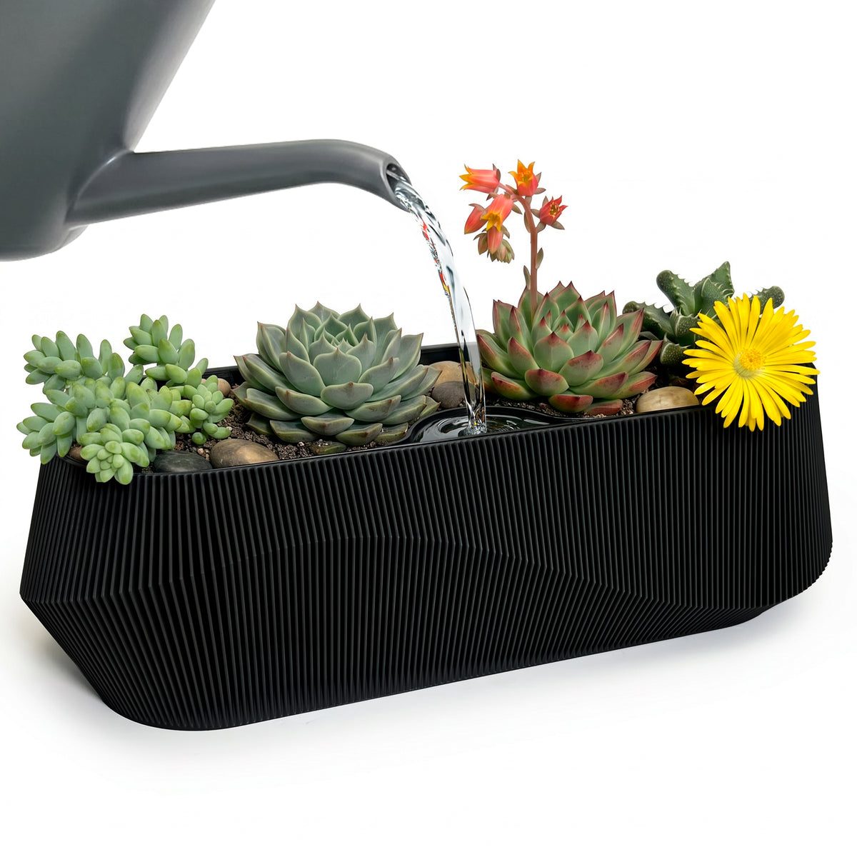 Self-Watering Planter AQUA WAVE for Succulents and Plant Arrangements