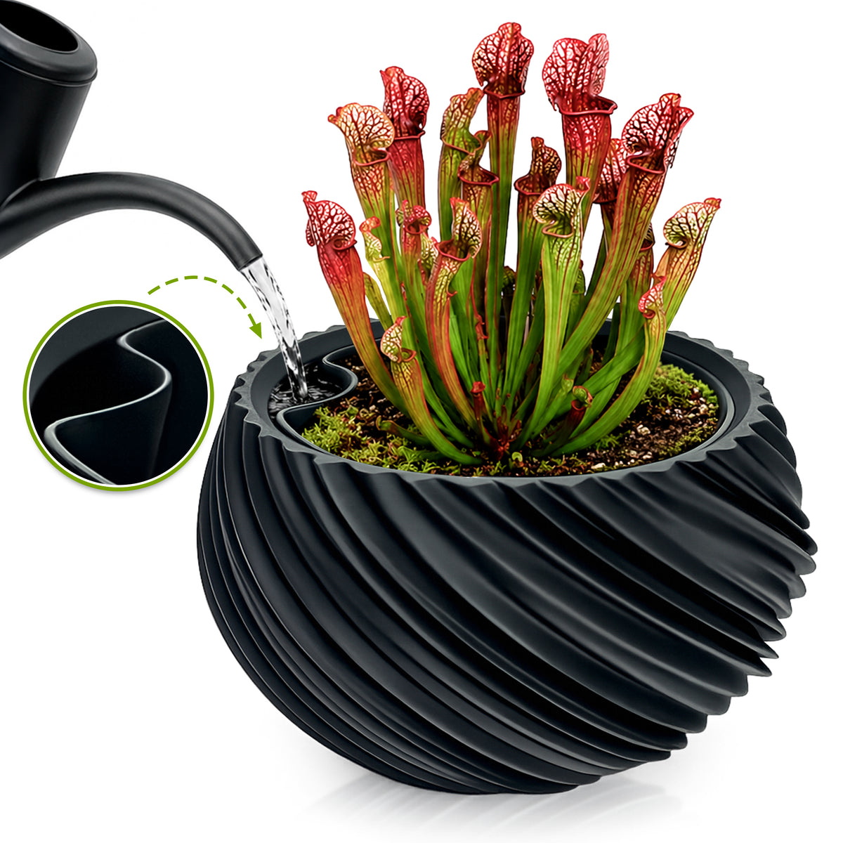 AQUA VENUS – Decorative Self-Watering Planter for Indoor Plants M / L