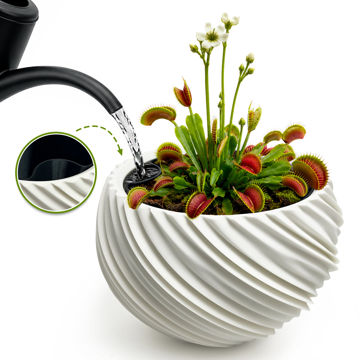 AQUA VENUS – Decorative Self-Watering Planter for Indoor Plants M / L