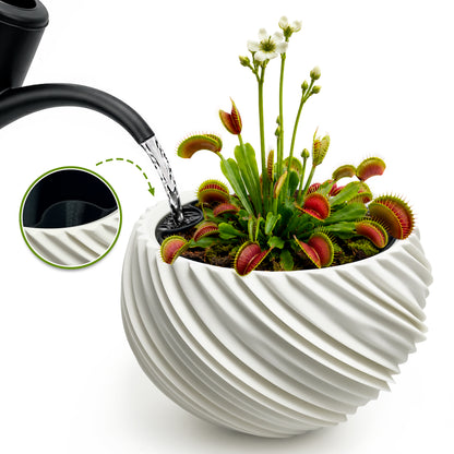 AQUA VENUS – Decorative Self-Watering Planter for Indoor Plants M / L