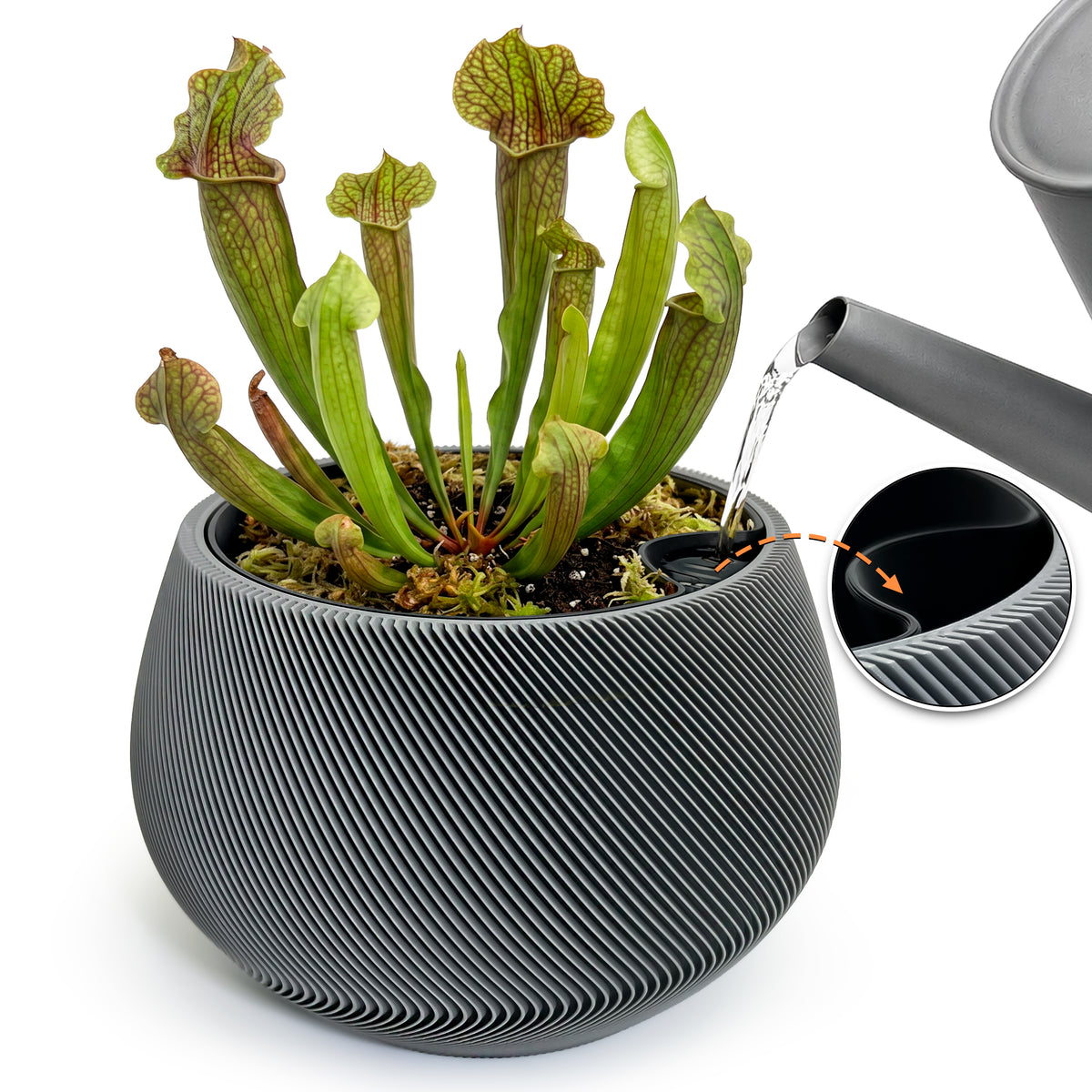 Self-Watering Planter AQUA ZEN for Indoor Plants