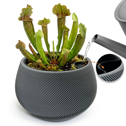 Self-Watering Planter AQUA ZEN for Indoor Plants