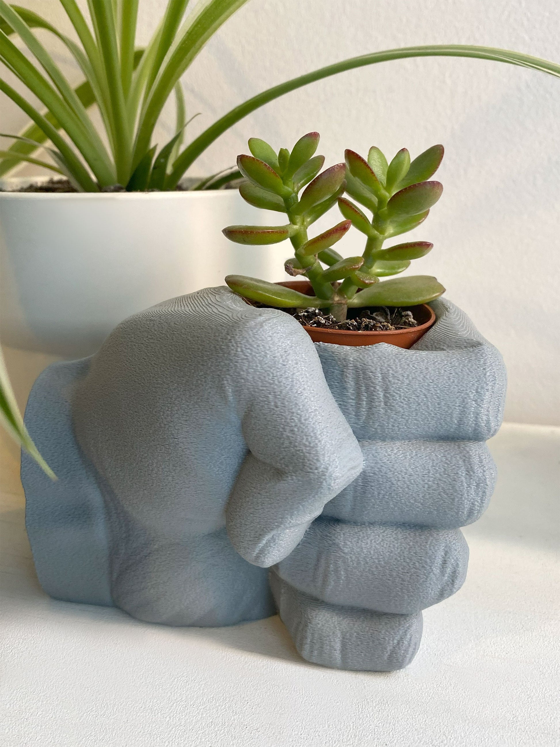 Small Modern Pflanztopf für Cactus oder Indoor Plants - 3D-gedruckt Sukkulente Pflanzgefäß - Plexiwire 3D Drucke