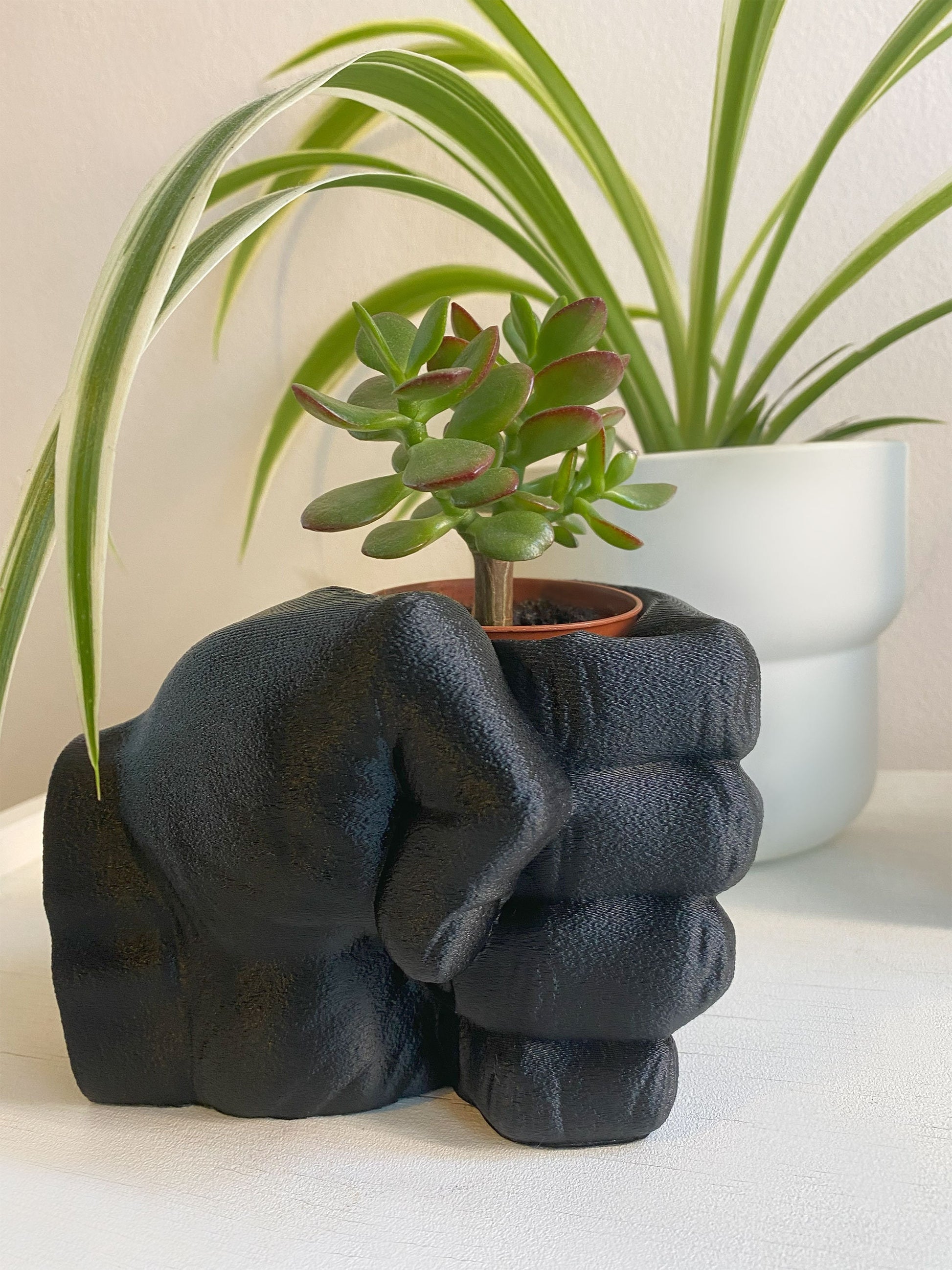Small Modern Pflanztopf für Cactus oder Indoor Plants - 3D-gedruckt Sukkulente Pflanzgefäß - Plexiwire 3D Drucke