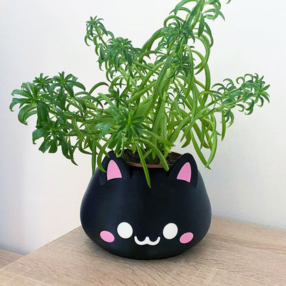 Pflanzgefäß - Perfect Wohnaccessoire | Blumentopf | Pflanztopf | Pflanzgefäß Pot - Plexiwire 3D Drucke