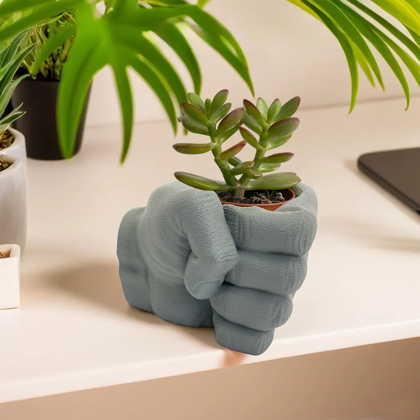 Small Modern Pflanztopf für Cactus oder Indoor Plants - 3D-gedruckt Sukkulente Pflanzgefäß - Plexiwire 3D Drucke