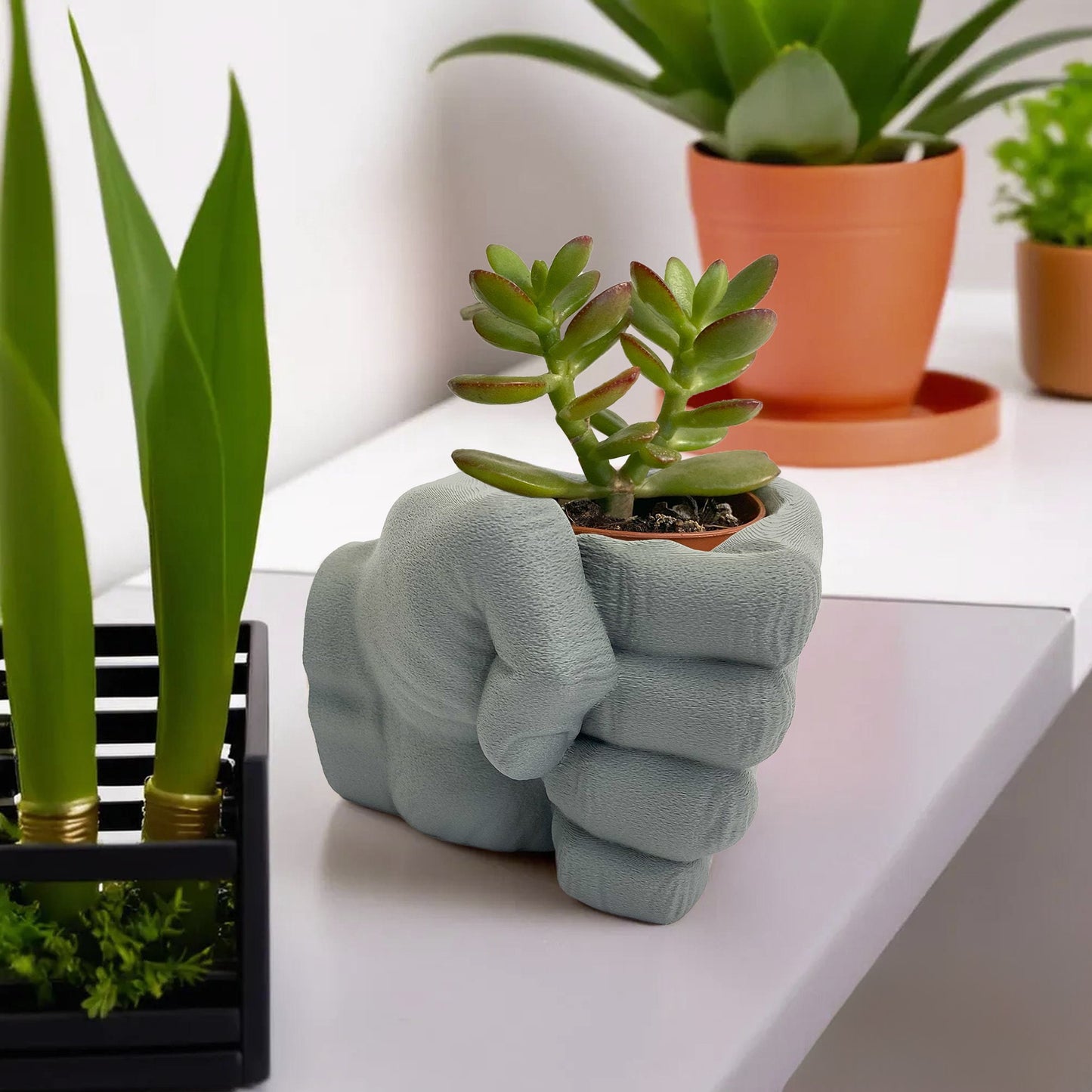Small Modern Pflanztopf für Cactus oder Indoor Plants - 3D-gedruckt Sukkulente Pflanzgefäß - Plexiwire 3D Drucke