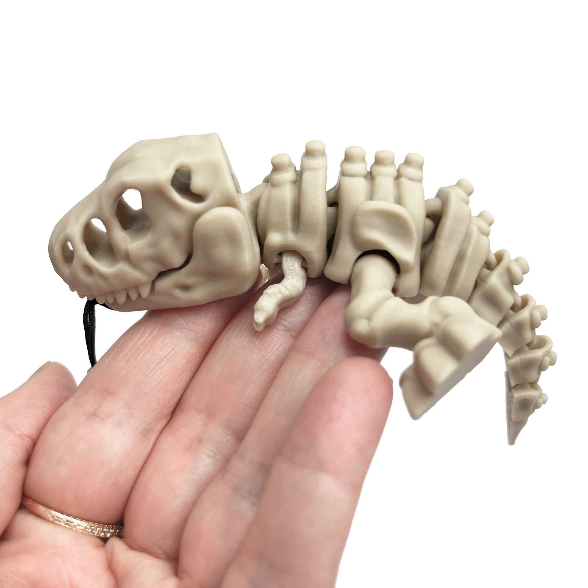 T-Rex-Skelett-Schlüsselanhänger Beweglich Dinosaurier Toy Bone Style Rucksackanhänger Geschenk - Plexiwire 3D Drucke