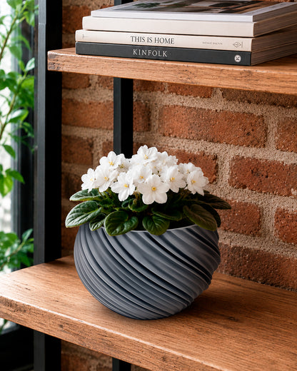 AQUA VENUS – Decorative Self-Watering Planter for Indoor Plants M / L