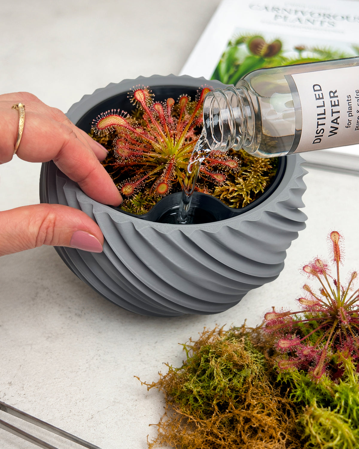 AQUA VENUS – Decorative Self-Watering Planter for Indoor Plants M / L