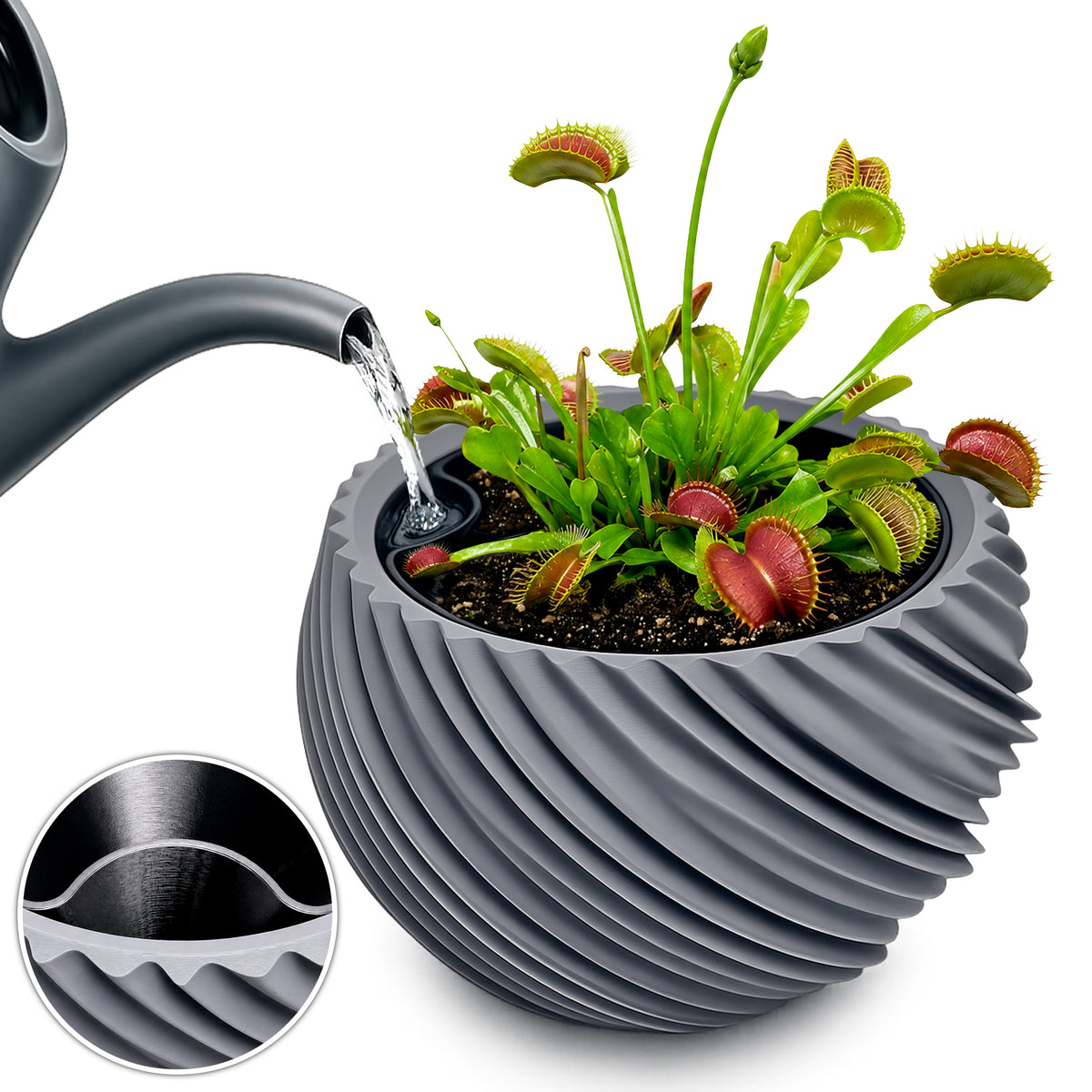 AQUA VENUS – Decorative Self-Watering Planter for Indoor Plants M / L