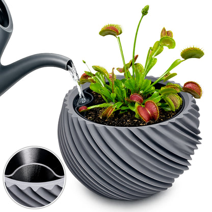 AQUA VENUS – Decorative Self-Watering Planter for Indoor Plants M / L